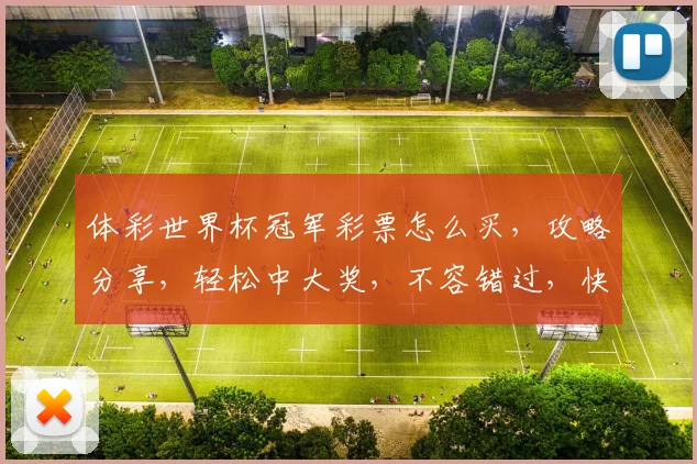 体彩世界杯冠军彩票怎么买，攻略分享，轻松中大奖，不容错过，快来尝试
