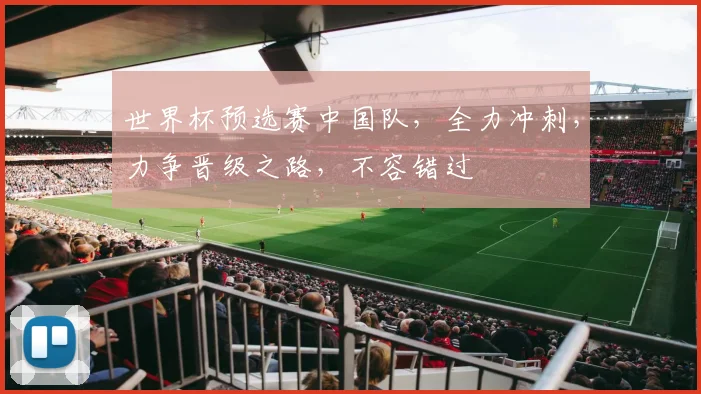 世界杯预选赛中国队，全力冲刺，力争晋级之路，不容错过