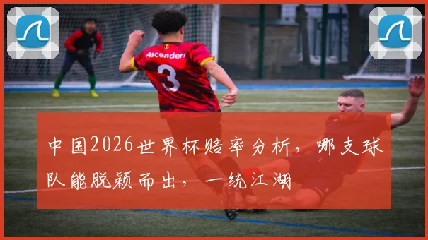 中国2026世界杯赔率分析，哪支球队能脱颖而出，一统江湖